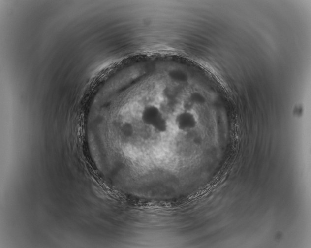 X0000097971063200804071052