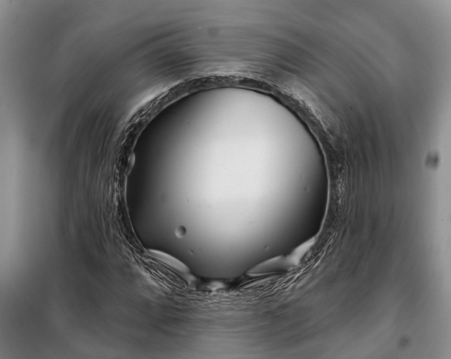 X0000097971064200804071052