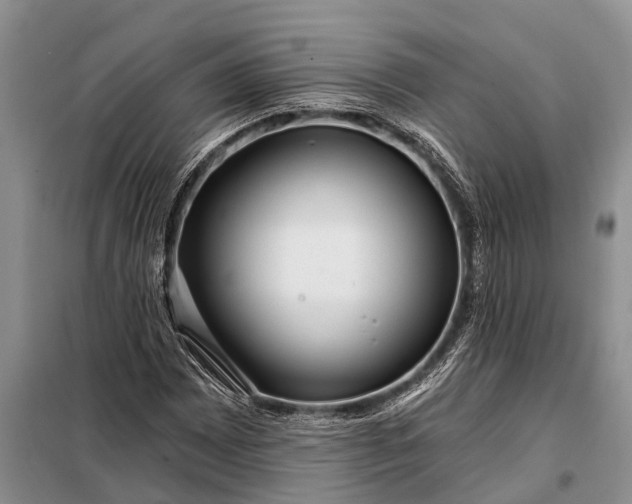 X0000097971065200804071052