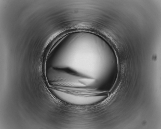 X0000097971066200804071052