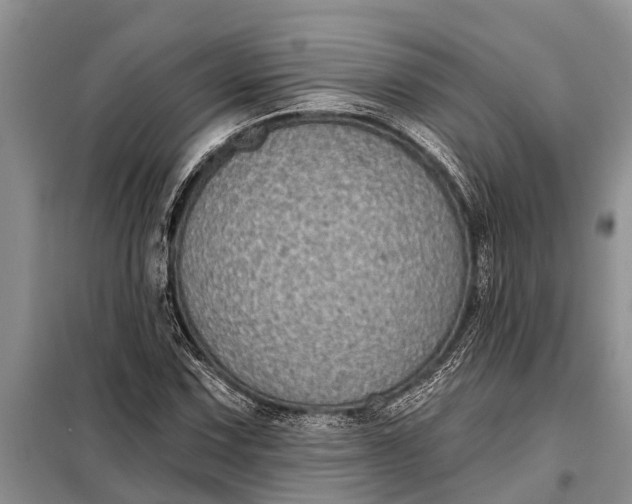 X0000097971067200804071052