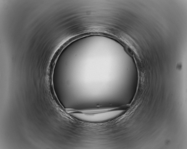 X0000097971068200804071052