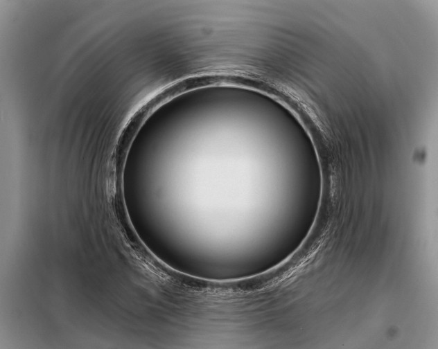 X0000097971069200804071052