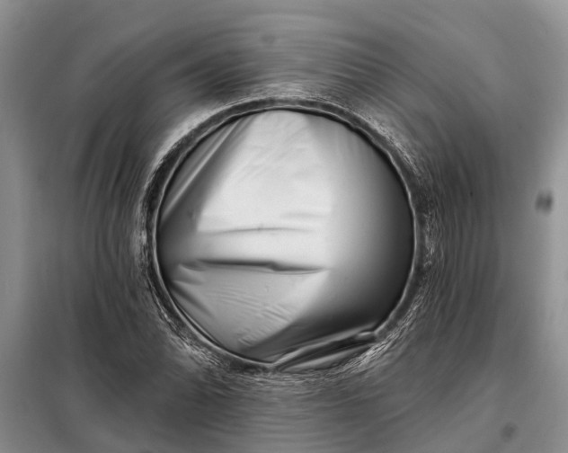 X0000097971070200804071052