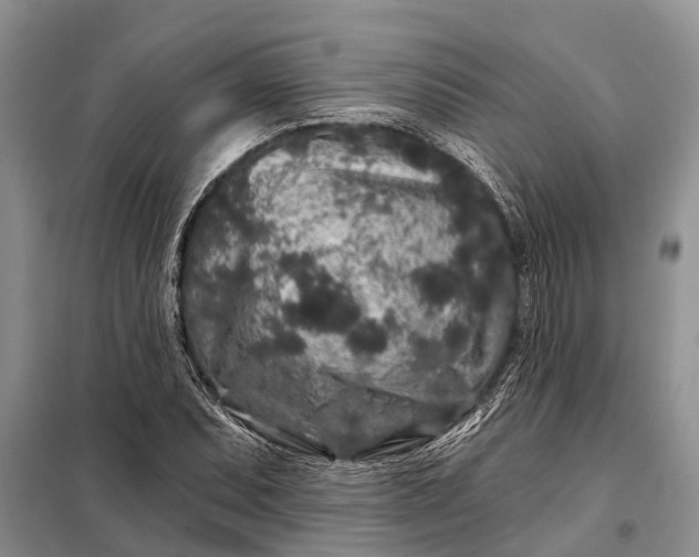 X0000097971071200804071052