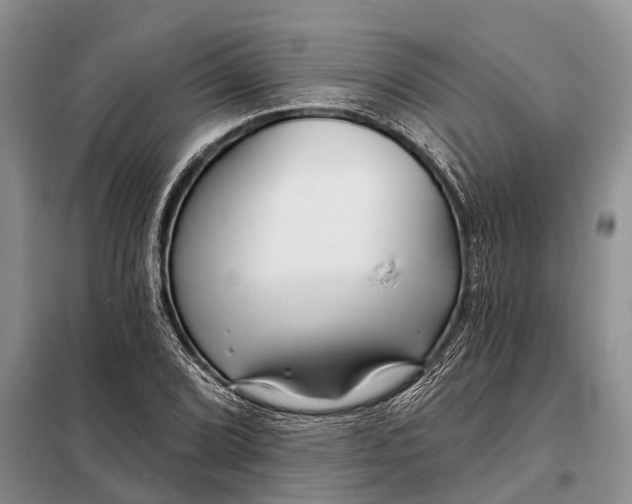 X0000097971072200804071052