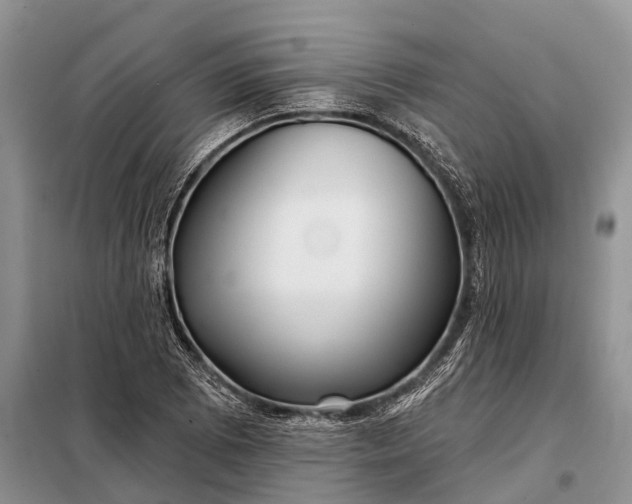 X0000097971073200804071052