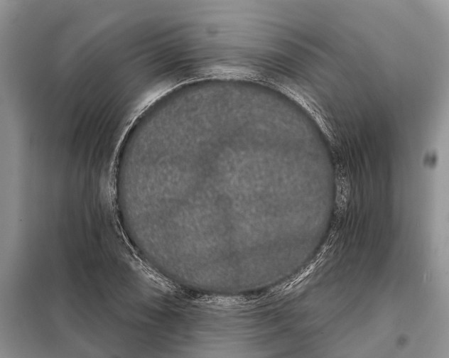 X0000097971074200804071052