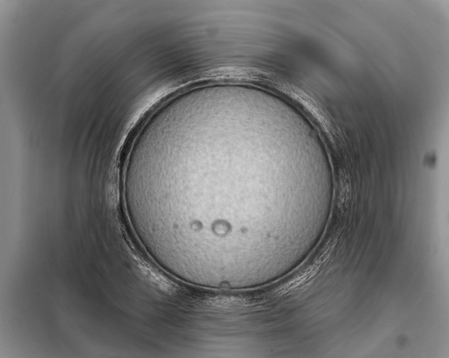 X0000097971075200804071052