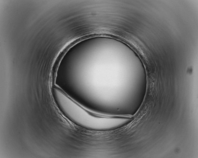 X0000097971076200804071052