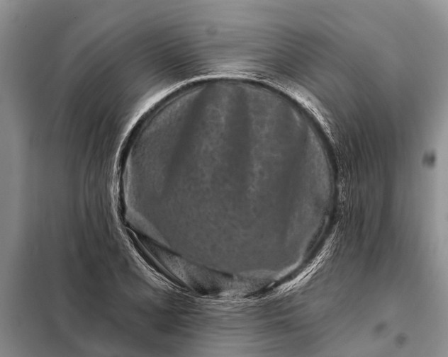 X0000097971077200804071052