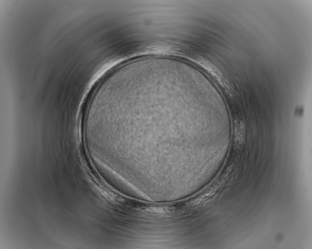 X0000097971078200804071052