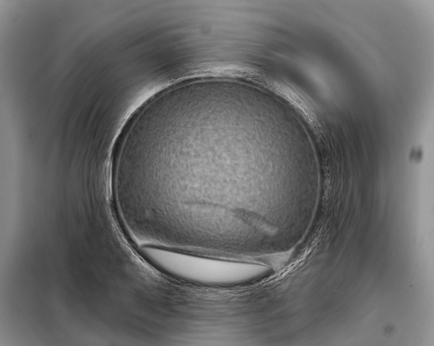 X0000097971079200804071052