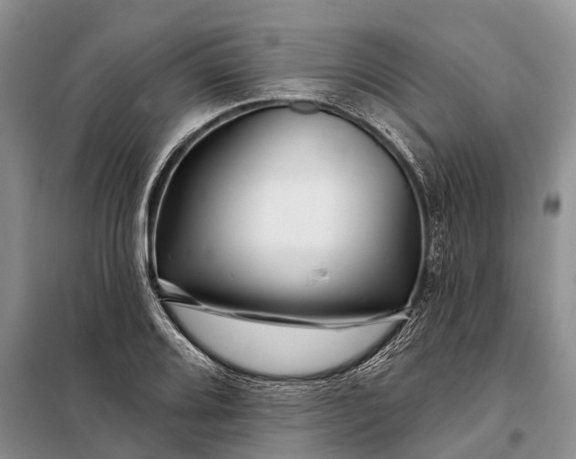 X0000097971080200804071052