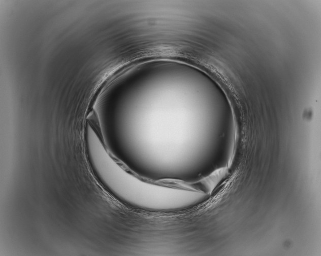 X0000097971081200804071052