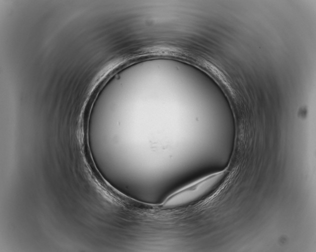 X0000097971082200804071052