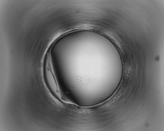 X0000097971083200804071052