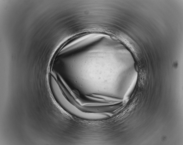 X0000097971084200804071052