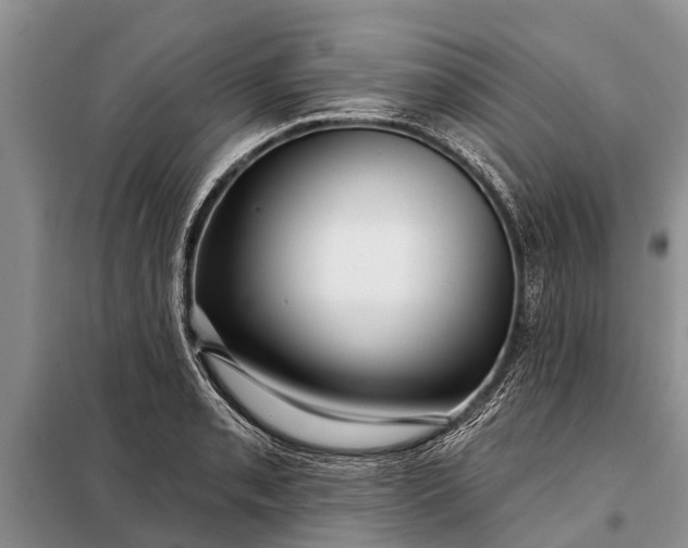 X0000097971085200804071052