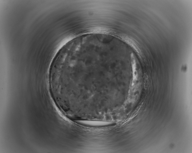 X0000097971087200804071052