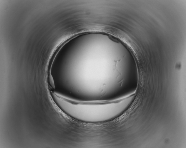 X0000097971088200804071052