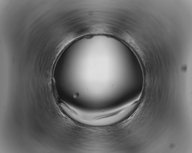 X0000097971089200804071052