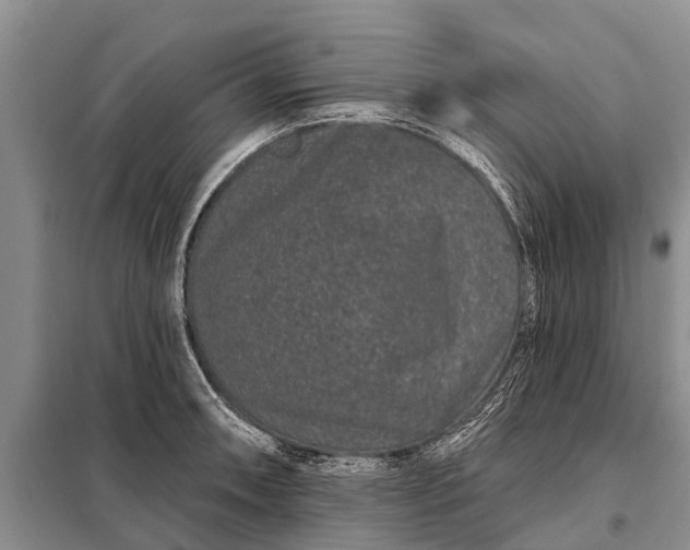 X0000097971090200804071052