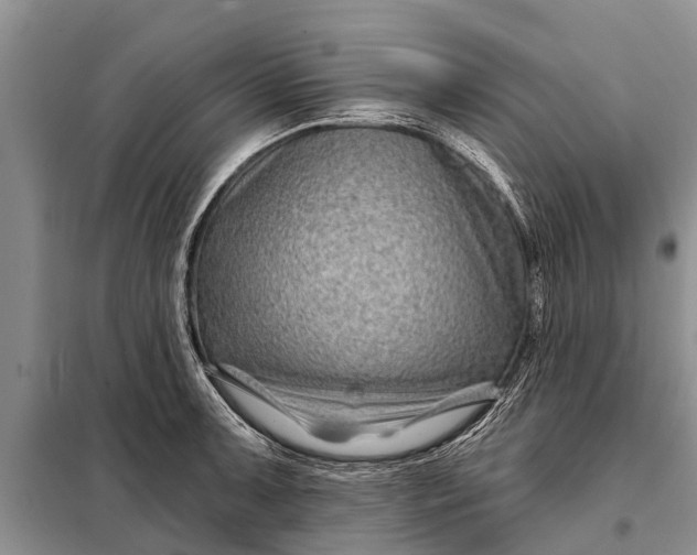 X0000097971091200804071052