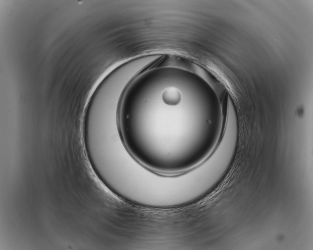 X0000097971092200804071052