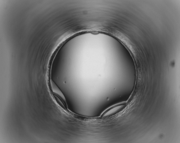 X0000097971093200804071052