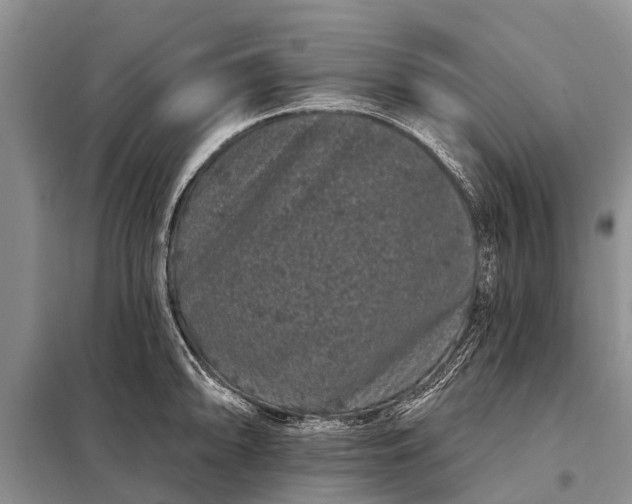 X0000097971094200804071052