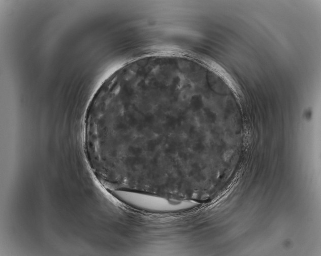 X0000097971095200804071052