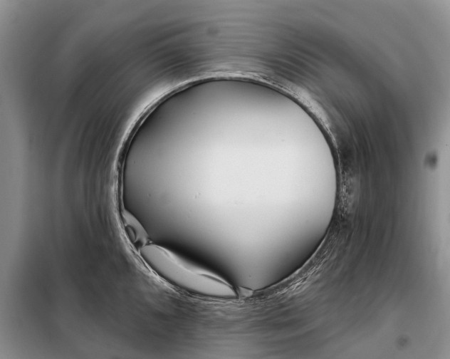 X0000097971096200804071052