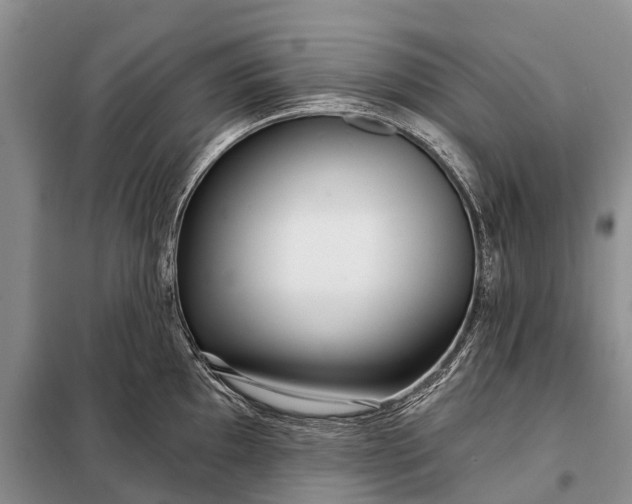 X0000097971097200804071052