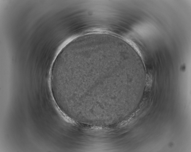 X0000097971098200804071052