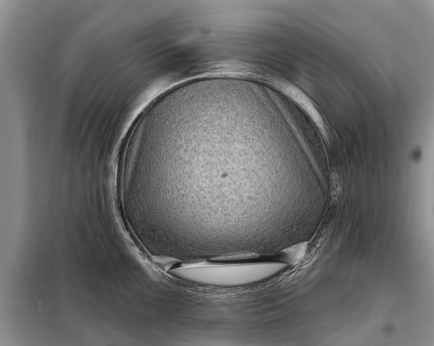 X0000097971099200804071052