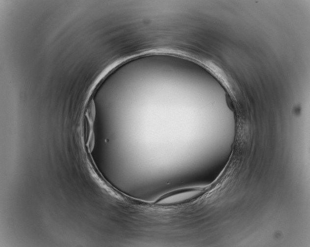 X0000097971100200804071052