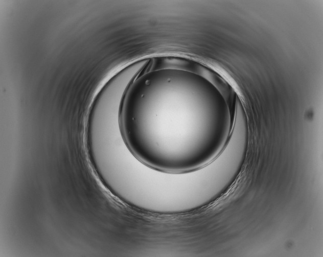 X0000097971101200804071052