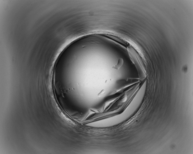 X0000097971102200804071052