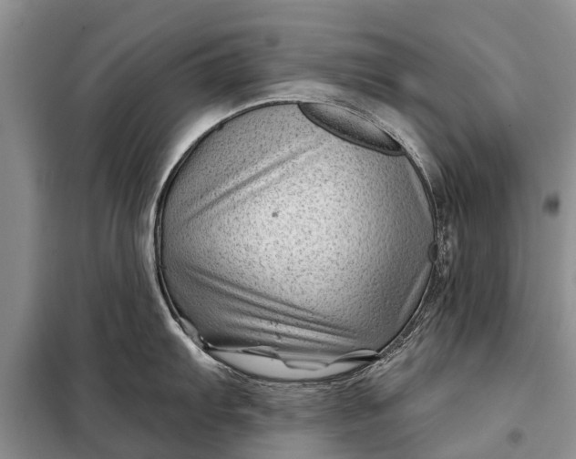 X0000097971103200804071052