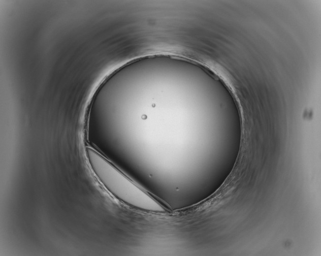 X0000097971104200804071052