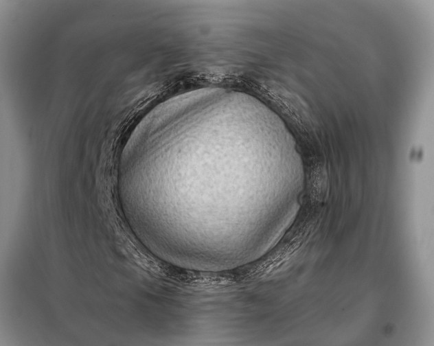 X0000097971105200804071050