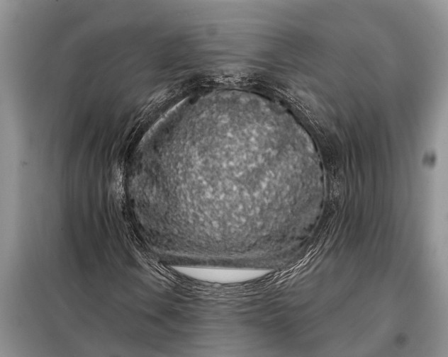 X0000097971106200804071051