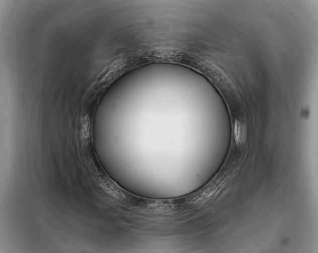 X0000097971107200804071051