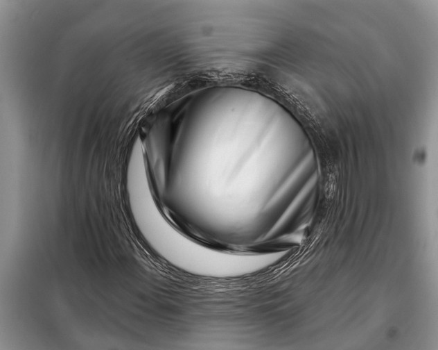 X0000097971108200804071051