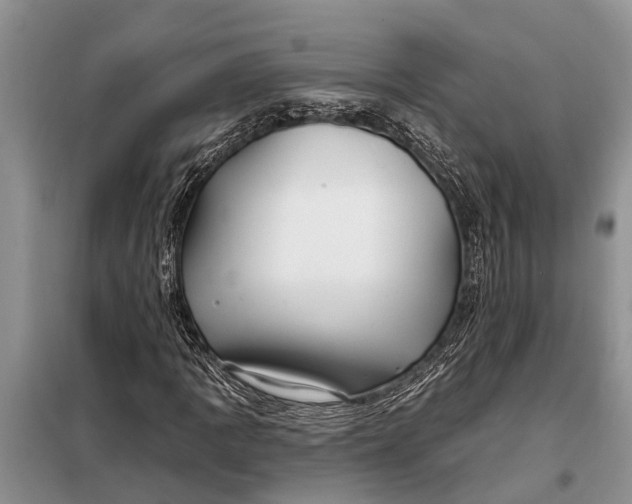 X0000097971109200804071051