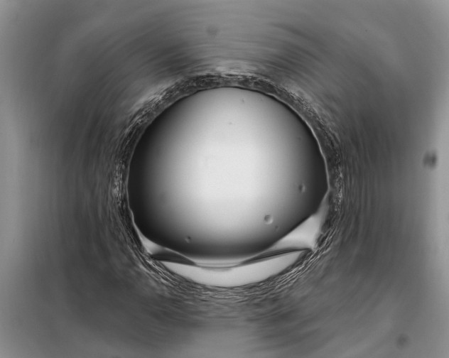 X0000097971110200804071051