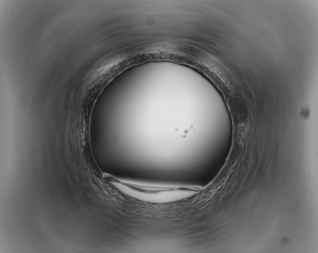 X0000097971111200804071051