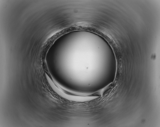 X0000097971112200804071051