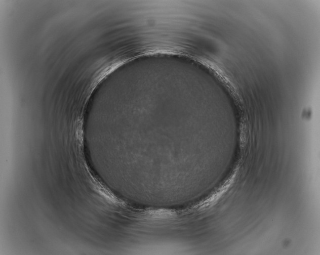 X0000097971113200804071051